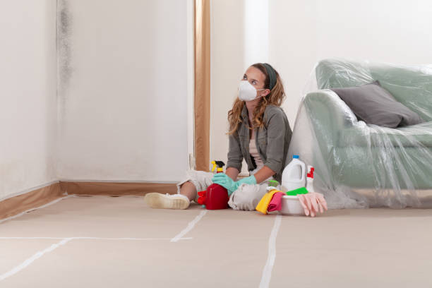 Reliable Hvac And Air Duct Mold Remediation contractor in Woodbury, MN by Mold Remediation HQ